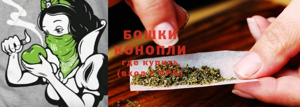 спиды Иннополис