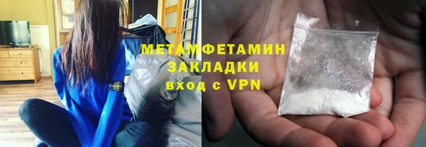 прущие грибы Инта