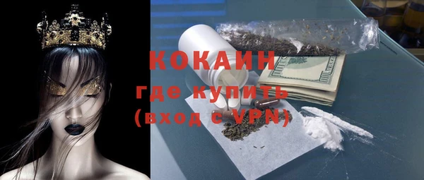 прущие грибы Инта