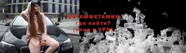 прущие грибы Инта