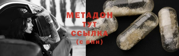 прущие грибы Инта