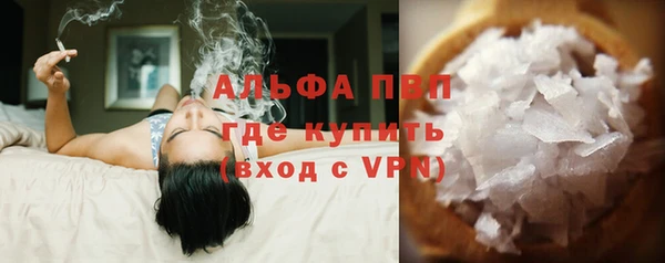 прущие грибы Инта