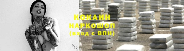 прущие грибы Инта