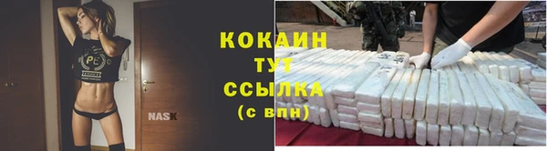 MESCALINE Каменка