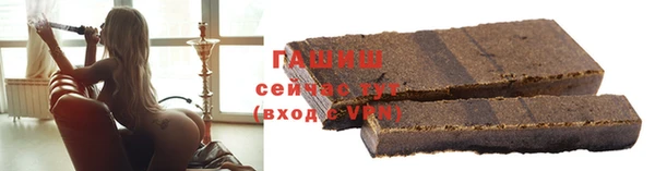 прущие грибы Инта