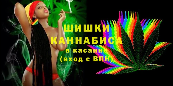 прущие грибы Инта