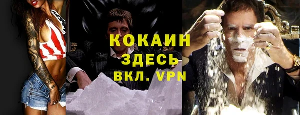 прущие грибы Инта