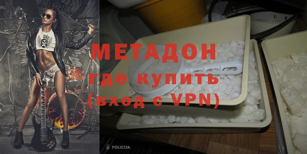 прущие грибы Инта